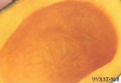 種とわたを完全に取り除き、中心部が滑らかな曲線状に整えられた半分に切ったかぼちゃの断面を捉えた写真