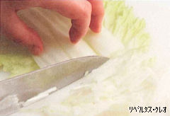 重ねた白菜の白い芯に近い部分を左手でしっかりと押さえ、右手の包丁で繊維に沿って細長く切り分けている様子を捉えた写真