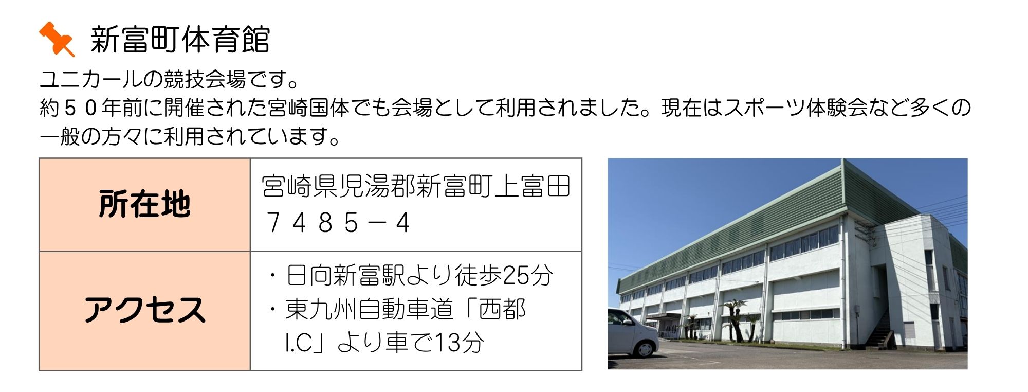 新富町体育館の詳細画像