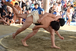 熱闘！九州各県少年相撲大会