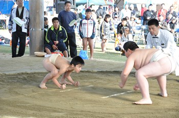 九州各県対抗少年相撲大会の様子