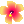 ハイビスカス