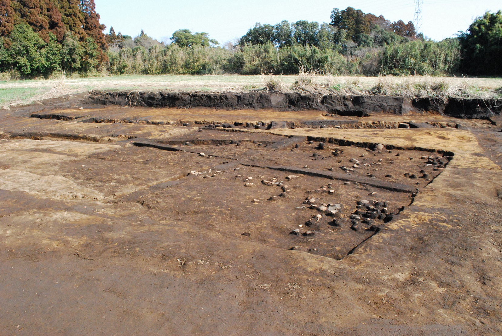 平地に広がる発掘調査現場で、茶褐色の地面が方形に区画され、その土層からは多くの石や遺構が露出している発掘調査の写真