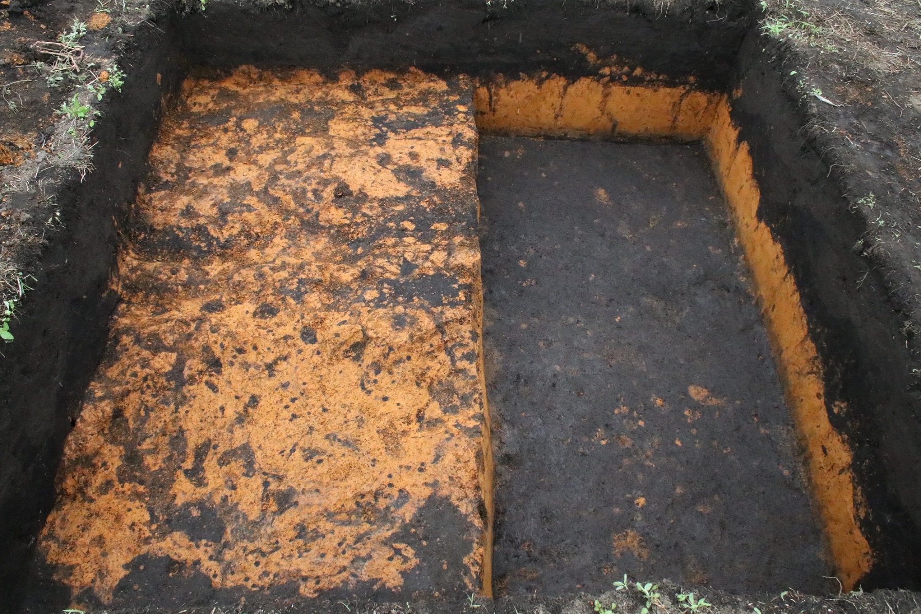 地面が四角く掘り下げられた発掘現場の様子で、左側には赤茶色の粘土質の土が広がり、一段低くなった右側には黒っぽく湿った土の層が露出しており、周囲の地層の色の違いがはっきりと分かる写真