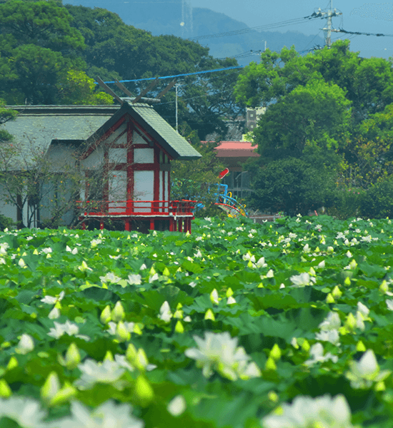 宮崎県新富町にある「湖水ヶ池」と「水沼神社」の写真