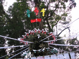 中央の大きな常緑樹の枝葉から、色鮮やかな緑・赤・黄の御幣や、白い紙に赤い模様が施された多数の飾りが放射状に突き出し、周囲へと白い帯が伸びている「天がい」の写真