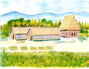 遠くに連なる青い山々を背景に、手前に広がる豊かな畑と、その奥に並んで建つ複数の藁葺き屋根の民家や納屋が描かれた江戸時代の農村のイラスト