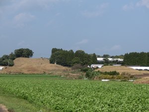 百足塚古墳群