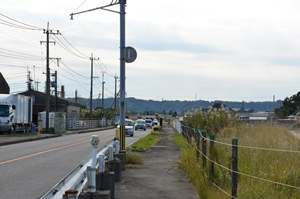 10号線沿い（養鰻場付近）