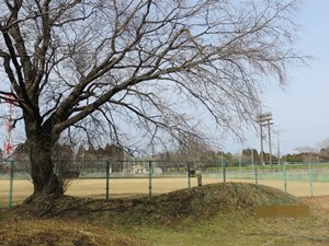 古墳の大きさ比較2