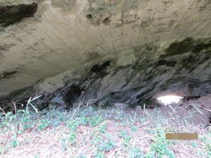 掩体豪【2】（掩体豪の内部）