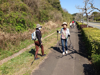 佐土原バイパス付近