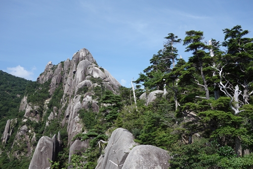 夏の大崩山の袖ダキ