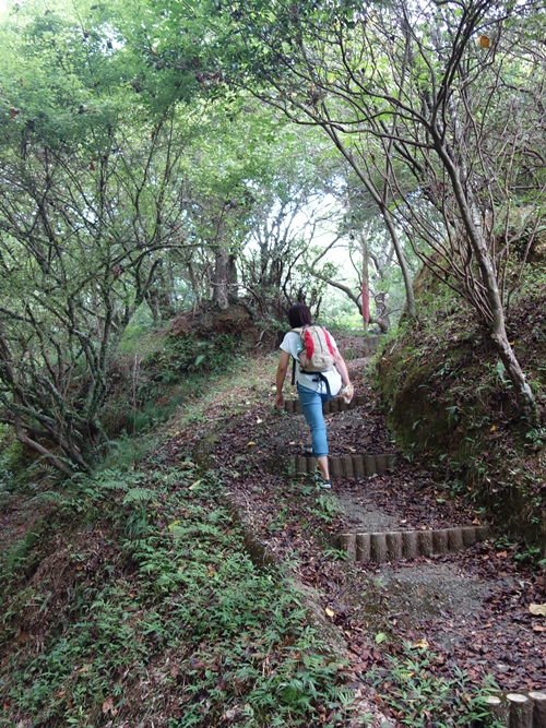 階段を登ります。