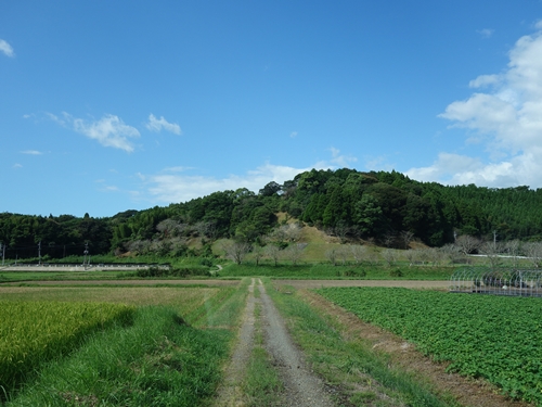 唐ケ山の全景