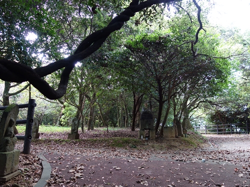 鬼付女峰山頂付近