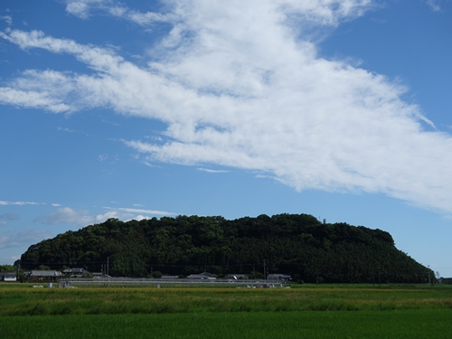 観音山全景