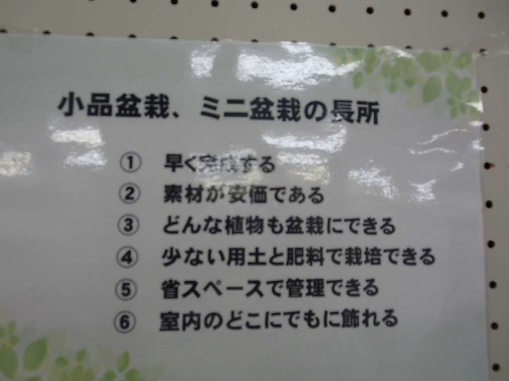 小品盆栽展