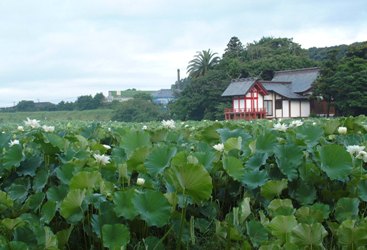 湖水ケ池