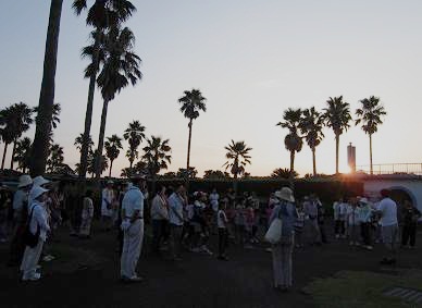 子ガメを送る会 夜明け前