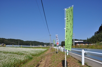 そばの花まつり準備