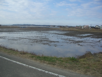 田植えの準備代掻き