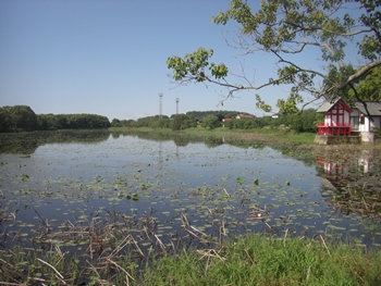 湖水が池