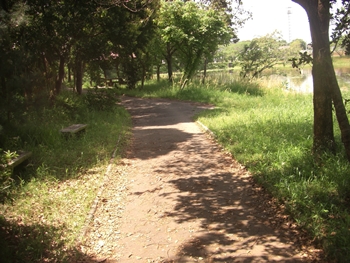 遊歩道