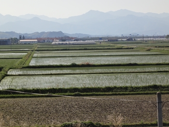 田園地帯