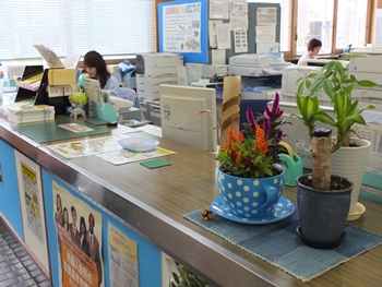 町民こども課窓口の花