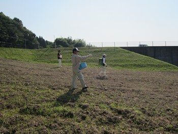 種まき中