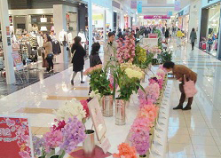 「みやざき花の祭典」