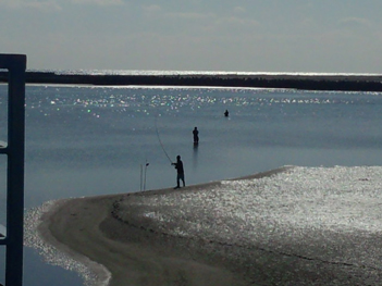 富田浜入江での釣り